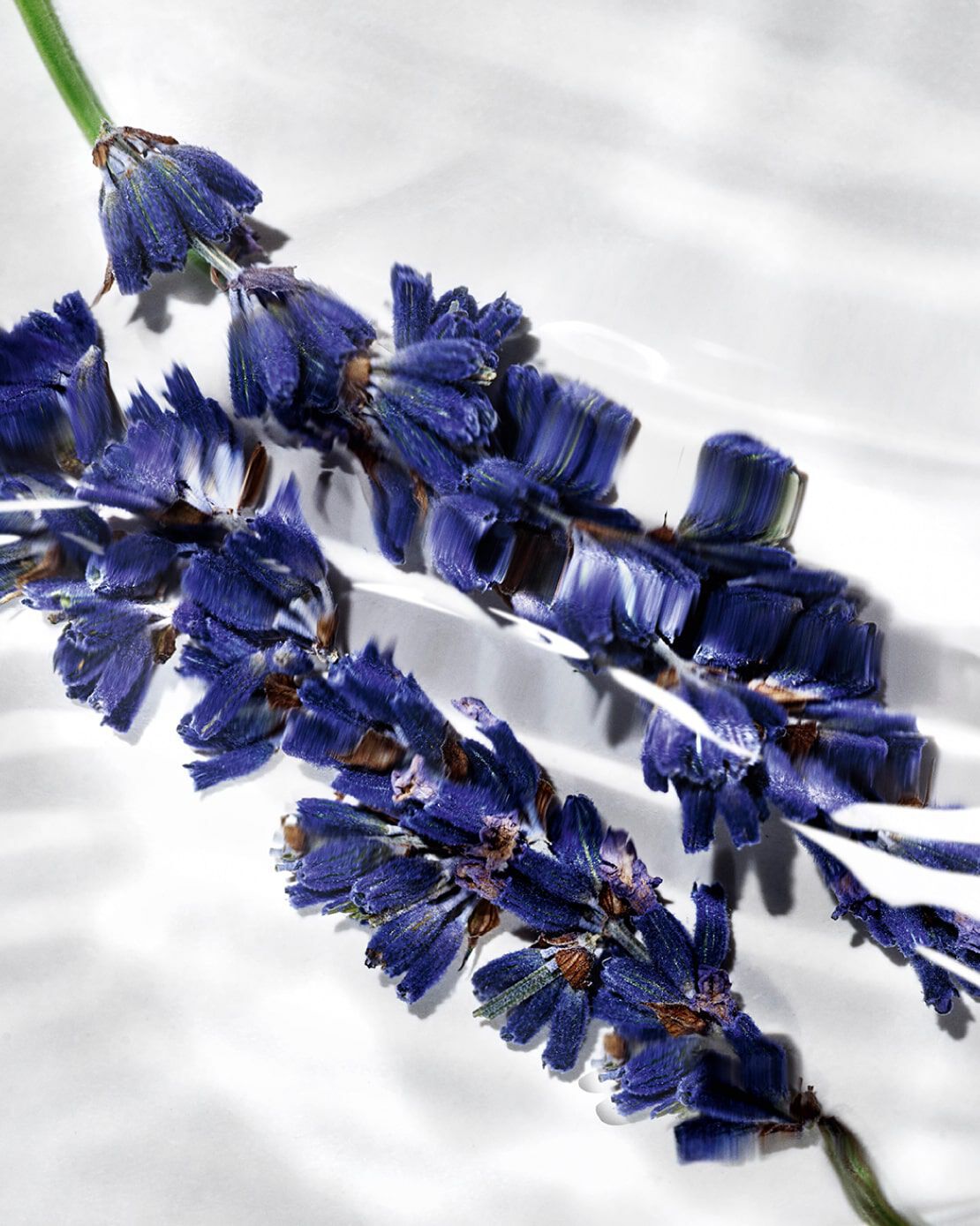 SULTRY ORANGE BLOSSOMS HEART