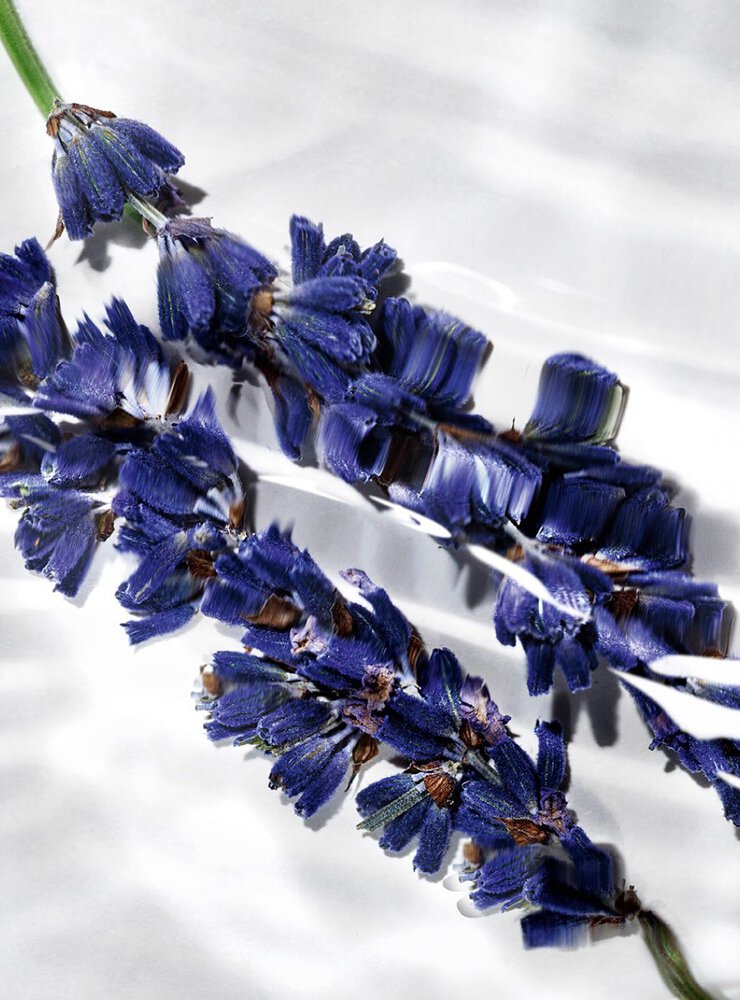 SULTRY ORANGE BLOSSOMS HEART