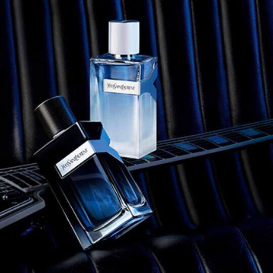Y edt ysl online