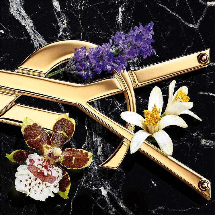 Ysl libre best sale priceline
