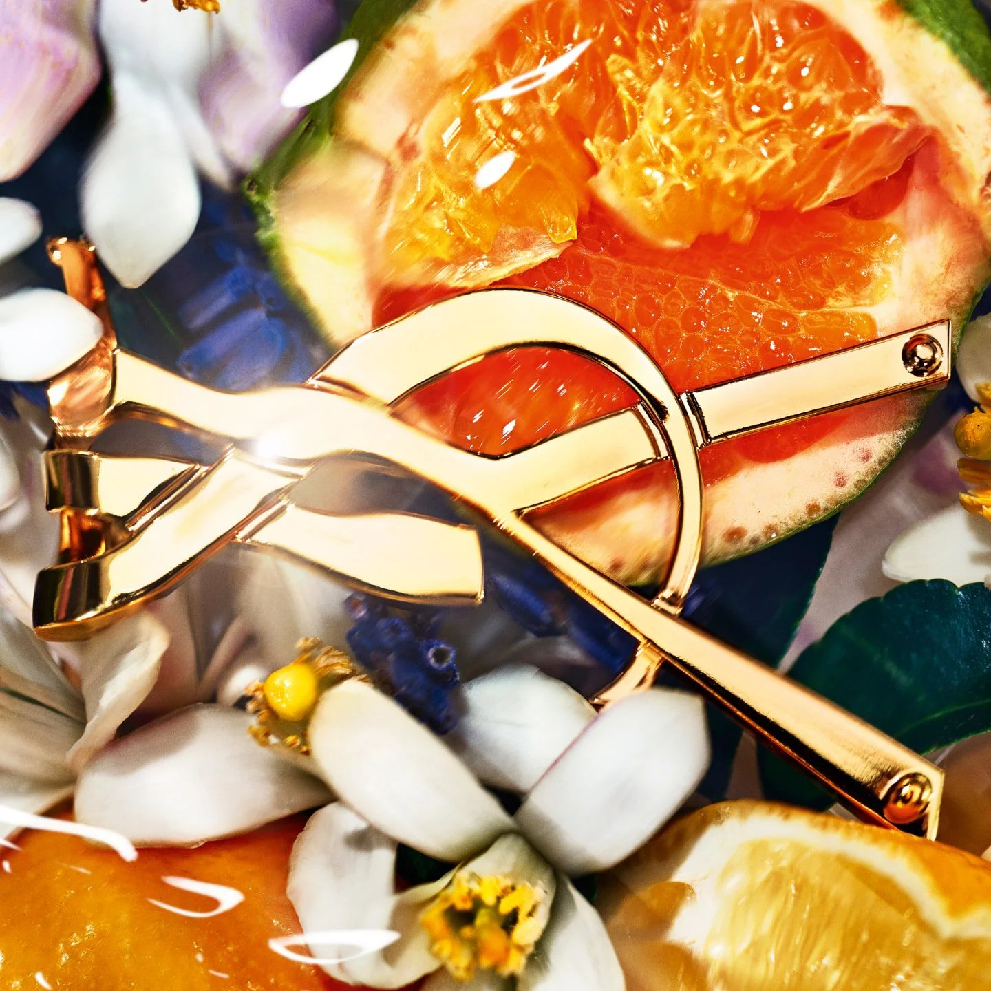 THE BEAUTY OF THE SOLAR MEDITERRANEAN NATURE