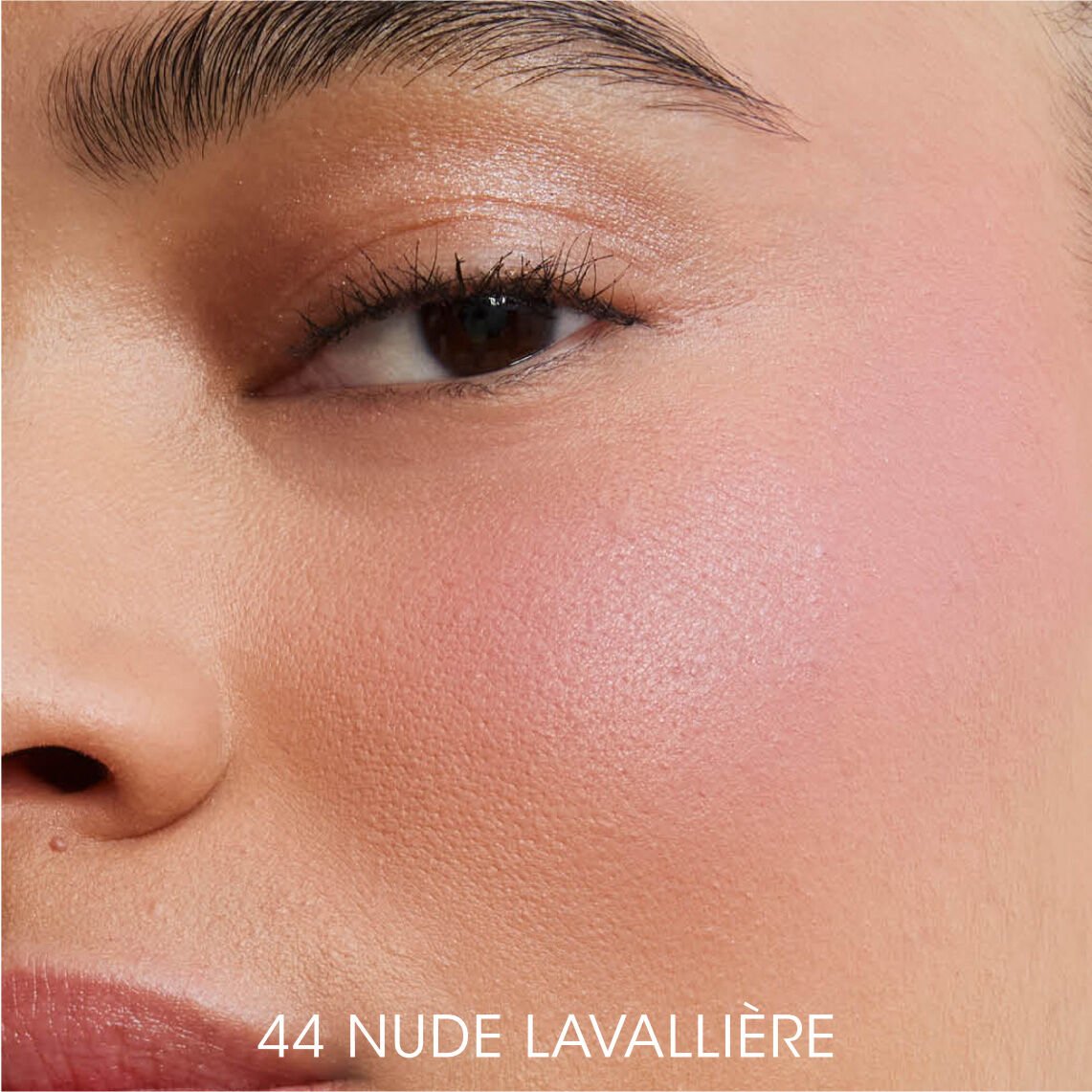 SOFT MATTE AND SHIMMERY FINISH WITH POWDER BLUSH