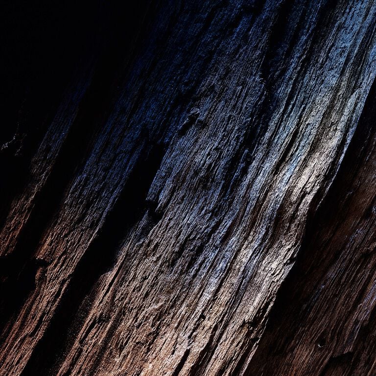 YSL Y EDP: rich, textured wood grain with deep
shadows and luminous highlights, symbolizing
strength and depth.