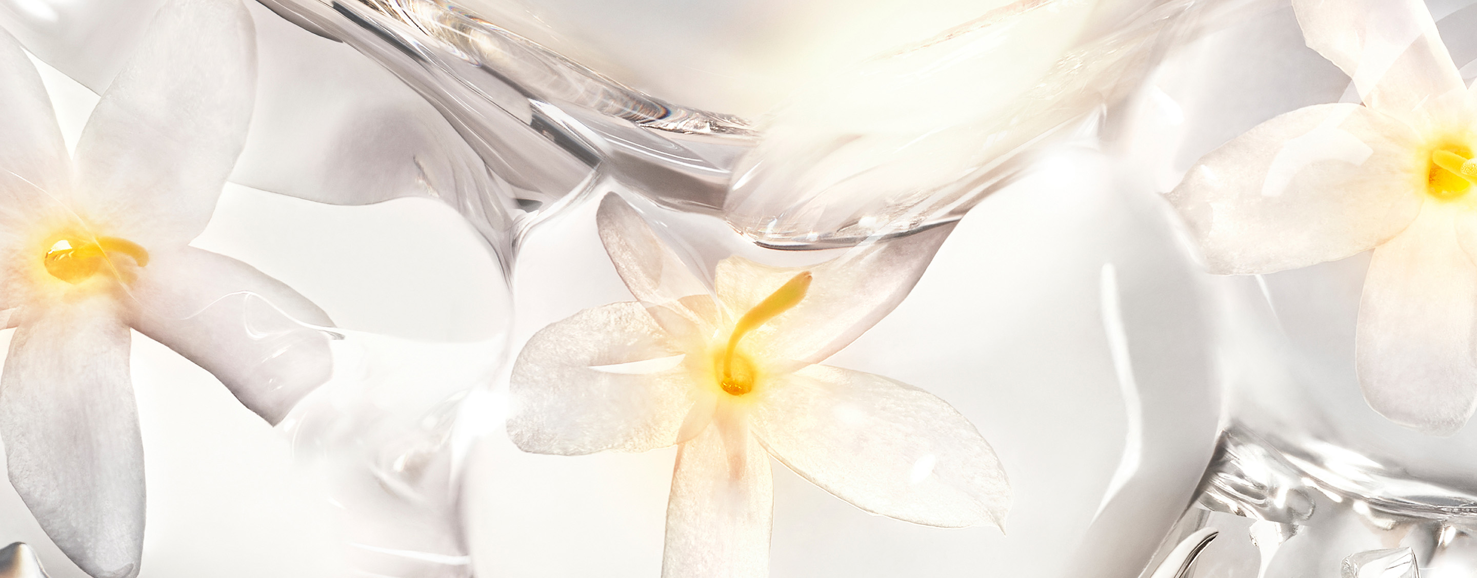 White jasmine ingredients of CARE CRUSH inside a luminous, clear texture. Elegant YSL Beauty skincare.